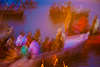 Łódki na Gangesie w Varanasi